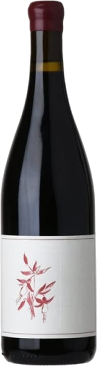 Arnot-Roberts Syrah Sonoma Coast 2022 Hot on Sale