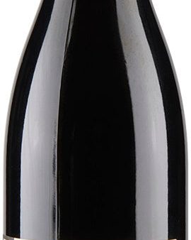 Y. Amirault St. Nicholas de Bourgueil La Mine 2021 For Cheap