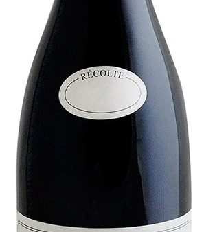 Beaujolais-Villages  La Roche , Michel Tete 2022 Cheap