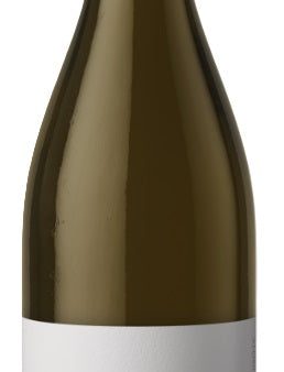 Bourgogne Aligote  Les Deux Terres , Domaine Jean-Marc Millot 2022 Online now