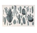 Cacti Online Hot Sale