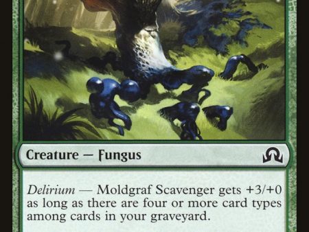 Moldgraf Scavenger [Shadows over Innistrad] Fashion