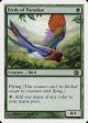 Birds of Paradise [Eighth Edition] Cheap