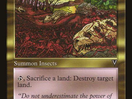 Army Ants [Visions] For Discount