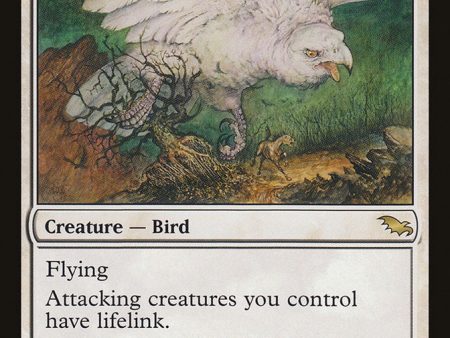 Windbrisk Raptor [Shadowmoor] Online Hot Sale