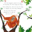 Plucky Orangutan Online Sale