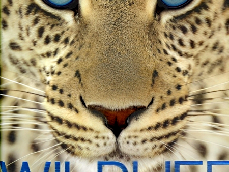 Wildlife: The Definitive Visual Guide To Animals Life on Every Continent Online Hot Sale